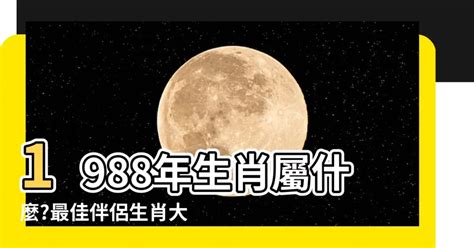 1988 屬什麼|生肖查詢：1988年屬什麼生肖？